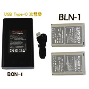 DC114c Panasonic DMW-BLC12 対応 USB式充電器 LUMIX ルミックス 互換