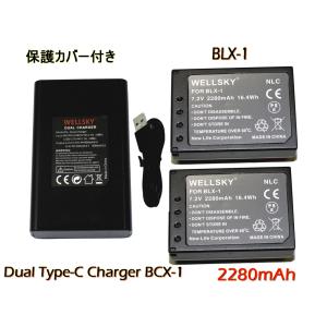 BLX-1 互換バッテリー 2個 &amp; BCX-1 デュアル USB Type C 急速 互換充電器 ...