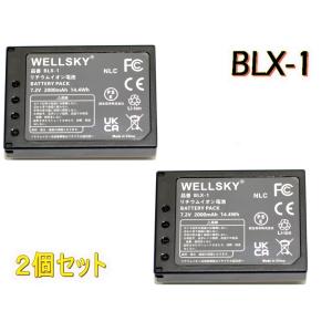 Panasonic（パナソニック） VW-VBD35 VW-VBD55 2個セット 互換