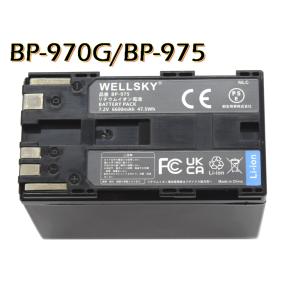 マスプロ電工 地上・BS・110度CSデジタルチューナー DT35 : ゴエモン屋