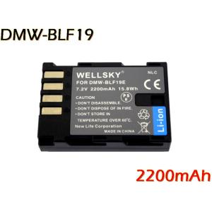 DC61 HDC-SD9 HDC-SD100 HDC-SD200 HDC-TM30 等対応USB充電器 : didica