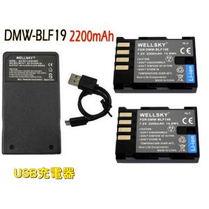 DMW-BLF19 互換バッテリー 2200mAh 2個 & DMW-BTC10 DMW-BTC13 [ 超軽量 ] USB 急速 互換充電器 バッテリーチャージャー 1個 Panasonic パナソニック｜newlifestyle