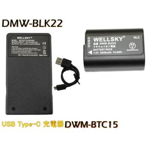 SONY（ソニー） 互換品＜ 新品 ＞ソニー WALKMAN NW-ZX707 NW-ZX700