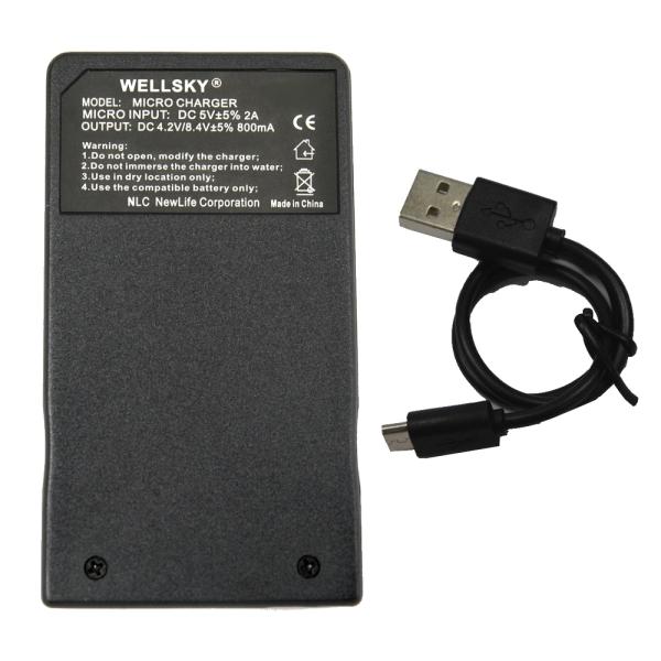 DMW-BMB9 対応  [ 超軽量 ] DMW-BTC4 USB Type C 互換充電器 バッテ...