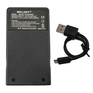 LI-42B LI-40B  用  LI-40C [ 超軽量 ]  USB Type C 急速 互換充電器 OLYMPUS オリンパス｜輸入雑貨NLS