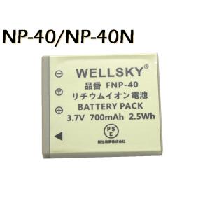 iRobot 4624864 ルンバ用 iRobotリチウムイオンバッテリー【適格請求書