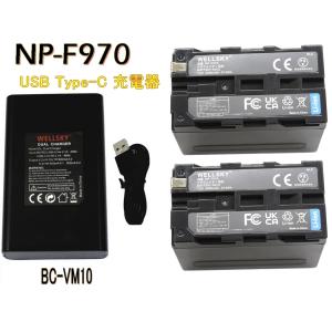 当店1年保証】 SONY NP-F970 リチャージャブルバッテリーパック 2個