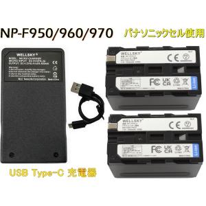 充電器(USBタイプ） 富士フィルム（FUJIFILM） NP-80 / DB-20 対応