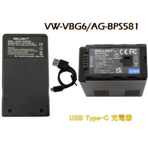 VW-VBG6-K VW-VBG6 AG-BPS581 2個 互換バッテリー [ 純正充電器で充電