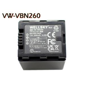 ロワジャパン 【互換品】 パナソニック対応 VW-BC10-K USB 充電器 VW