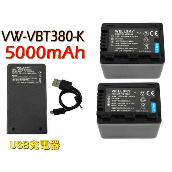 VW-VBT380 VW-VBT380-K 互換バッテリー 2個 ＆ [ 超軽量 ] USB Typ...