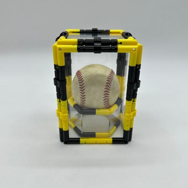 虎柄 サインボール チューブ スタンド 5cm高 ケースセット トラ柄 タイガー tiger ボール...