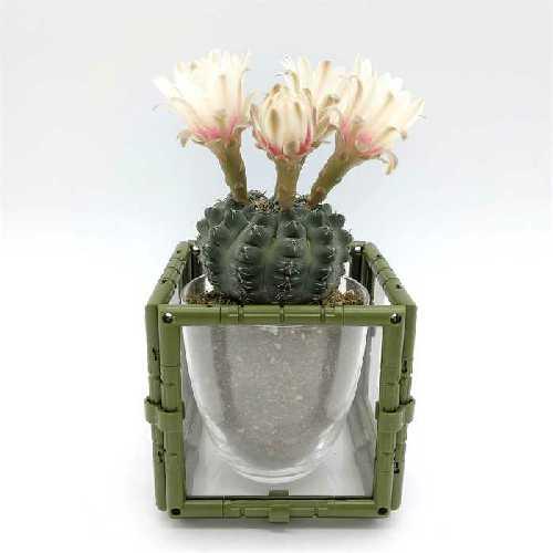 フラワー プランター 浅型S クリア カバー 観葉植物 鉢植え 透明 おしゃれ インテリア デザイン...