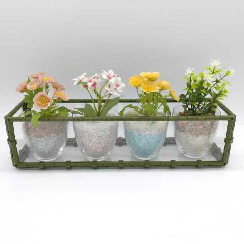 フラワー プランター 浅型L クリア カバー 観葉植物 鉢植え 透明 おしゃれ インテリア デザイン...