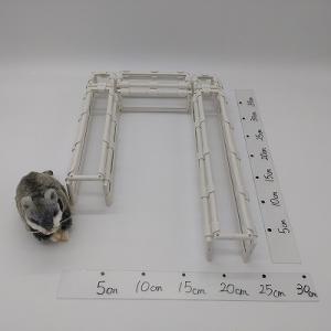 ハムスターパッセージセット 高さ約6cm  遊び場 運動 ストレス発散 組み換え自由 透明 クリア ...