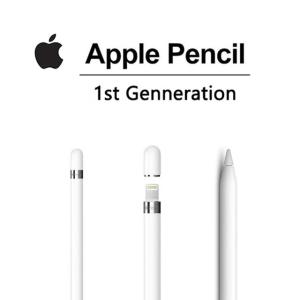 Apple-第1世代スタイラスペン,iOSタブレット用,iPad 6/7/8/9/10 Pro/3/4/5世代,Air 3/mini/5用パワーディス