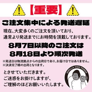 ゴリラの裸足 健康サンダル レディース リカバ...の詳細画像1