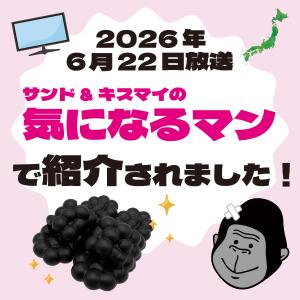 ゴリラの裸足 健康サンダル レディース リカバ...の詳細画像5