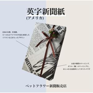 英字新聞紙 10kg (530枚) 新品 アメ...の詳細画像1