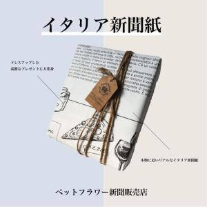 イタリア新聞紙 200kg (10,600枚)...の詳細画像2