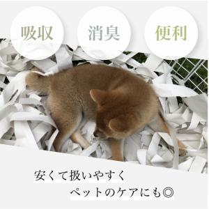 しろしんぶん 100kg 5,300枚 10k...の詳細画像1