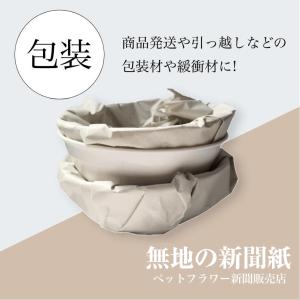 しろしんぶん 100kg 5,300枚 10k...の詳細画像2