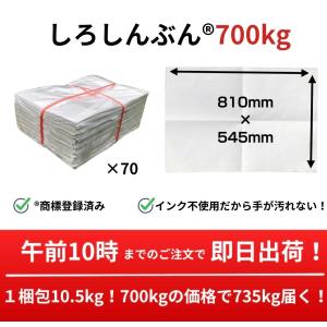 白新聞紙 700kg 39,200枚 業務用 810×545mm 10kgあたり2,000円 インクで汚れない ペットシーツ 梱包材 緩衝材 新聞紙代替（検索用：無地新聞）10時まで即日出荷