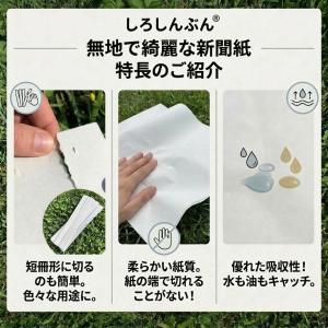 白新聞紙 700kg 39,200枚 業務用 ...の詳細画像4