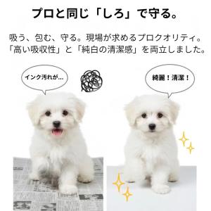 白新聞紙 700kg 39,200枚 業務用 ...の詳細画像5