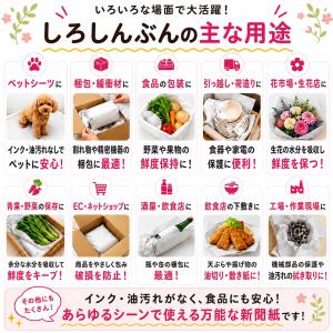 緩衝材 梱包材 無地新聞紙 白新聞紙 1,00...の詳細画像3