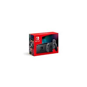 Nintendo Switch 【中古】任天堂 グレー ACアダプターなし [管理 Nintendo Switch 【中古】任天堂 グレー ACアダプターなし [管理