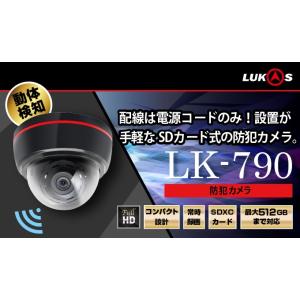 INBYTE SDカードに記録する防犯カメラ LUKAS LK-790｜newstepshop