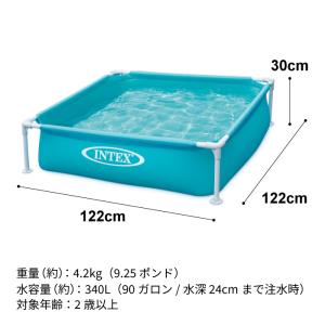 日本正規品 インテックス INTEX ミニフレ...の詳細画像4