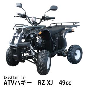四輪バギー 49cc ATV YH 4サイクルエンジン搭載 Ex-RZ-XJ-49 アウトレット 公道走行