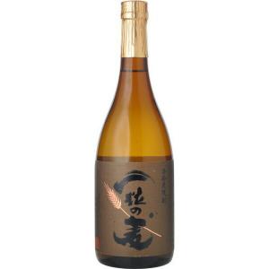 魔王 魔王 芋焼酎 25度 1800ml あすつく お中元 夏ギフト 暑中見舞い