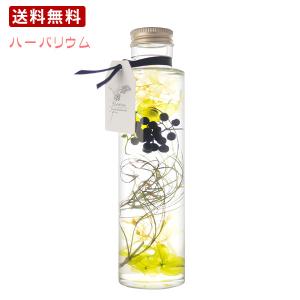 花　ハーバリウム　送料無料　母の日ギフト　プレゼント ギフト 贈り物 お歳暮 お年賀