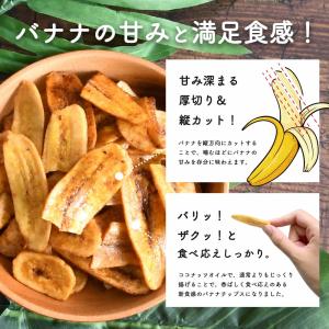 塩バナナけんぴ100g (単品) 味源 あじげ...の詳細画像2