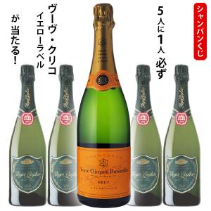 人気のシャンパン 2本セット ヴーヴクリコイエロー モエシャンドン