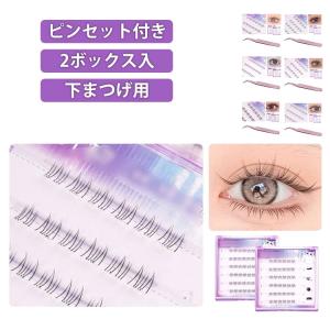 束感 まつ毛 つけまつげ 下 下まつげ 簡単 束 のり付きまつげ 2点セット 下 つけまつ毛 まつ毛 部分用 まつげ ナチュラル 透明軸 盛れる 自然