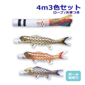 鯉のぼり 岡本太郎鯉のぼり 岡本太郎ミュージアム限定品 大型鯉庭園用