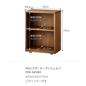 【セール特価中】コイズミ 2026年 ペグ 学...の詳細画像4