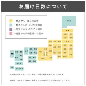 シュミテクトトゥルーホワイト(新) 80g【H...の詳細画像2