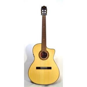 アンプ不要 エレガット MP-14 / RS-Artist 人気モデル アンプレスエコー搭載