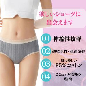 レディースショーツ 6色 綿 ショーツ シーム...の詳細画像3