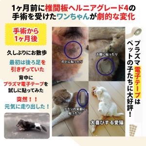 テーピング 50mm×5m 腰痛 筋肉痛 健康...の詳細画像4