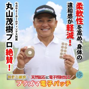 テーピング 腰痛 筋肉痛 健康 スポーツ 生理...の詳細画像2