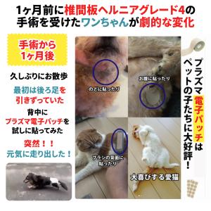 テーピング 腰痛 筋肉痛 健康 スポーツ 生理...の詳細画像4
