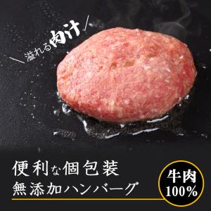 ハンバーグ 無添加 個包装 冷凍食品 120g...の詳細画像1