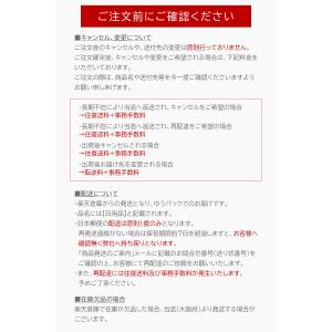 酒粕洗顔フォーム 2本セット アズマ商事 10...の詳細画像4