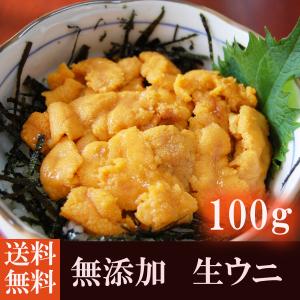 ウニ 訳あり 生食用 100g 無添加 業務用 自宅用 ギフト ミョウバン不使用 雲丹 刺身